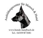 Problemhund zertifizierter Problemhundetherapeut